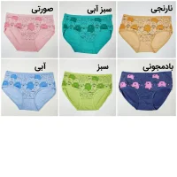 شورت زنانه خرسی رنگی